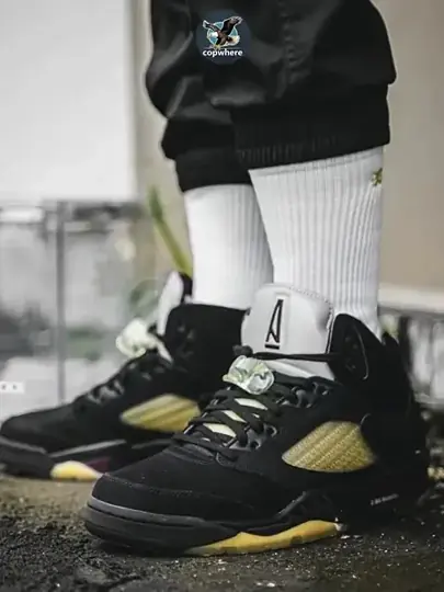 Air Jordan 5