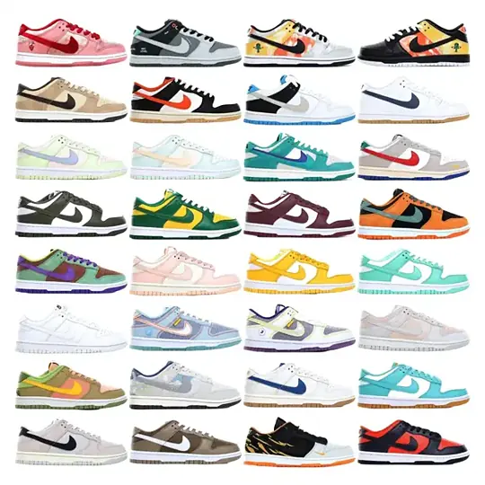 Nike Dunk Sneakers